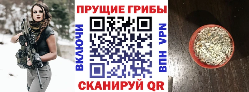 закладка ОМГ ОМГ рабочий сайт Псилоцибиновые грибы GOLDEN TEACHER Дюртюли